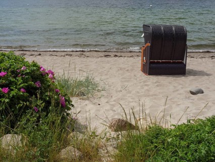 A sandy beach with a beach chair and flowering plants near the sea, Glücksburg, Schleswig-Holstein,