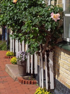 Half-timbered house with tiled roof, beautiful flower beds and flower boxes along the window and