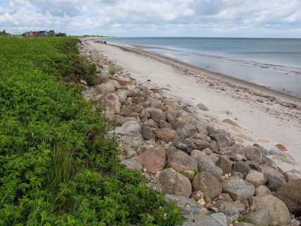 Stony coast with beach and sea, cloudy sky and green shore, Maasholm, Schleswig-Holstein, Germany,