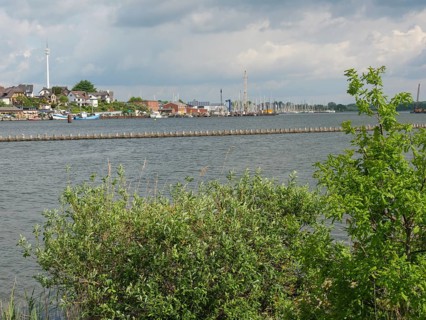 Riverbank with trees and view of the harbour with boats and buildings in the background, Kappeln,