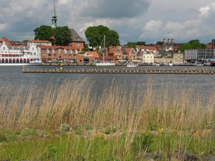 View over tall grass to a town with boats on the water and a church under a cloudy sky, Kappeln,