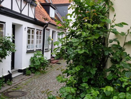 Narrow cobbled street between old half-timbered houses and lush green foliage, Kappeln,