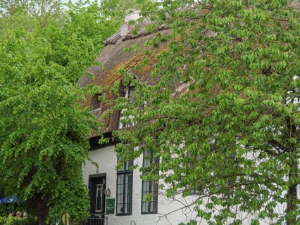 Traditional house with thatched roof, surrounded by lush greenery, windows and window grilles,