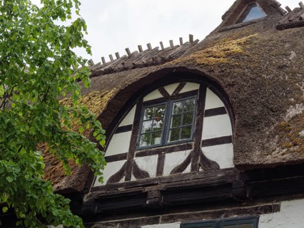 Close-up of an old half-timbered house with a moss-covered roof and small windows, surrounded by a
