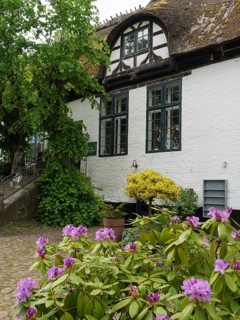 Historic building with white walls and blooming flowers, surrounded by green plants, Arnis,