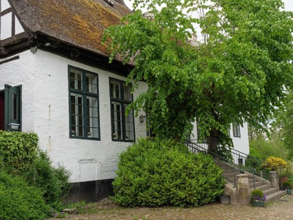 A large half-timbered house surrounded by plants and trees, with a rustic charm, Kappeln,