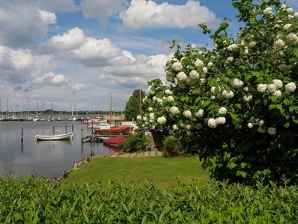 Flowering bushes on the lakeshore with boats, blue sky and clouds, Arnis, Schleswig-Holstein,