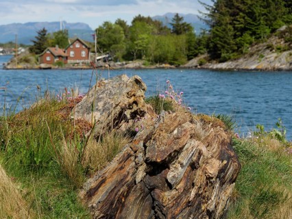 Coastal landscape with houses in the background, surrounded by water, trees and rocks, Stavanger,