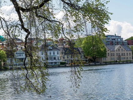 Picturesque seascape with traditional houses, trees and a calm lake under a cloudy sky, Stavanger,