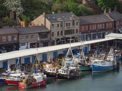 A harbour with numerous fishing boats and adjacent buildings, Newcastle, England, Great Britain