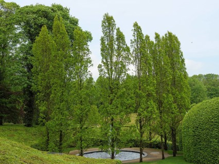 A well-kept garden with tall trees and a small pond, Newcastle, England, United Kingdom, Europe