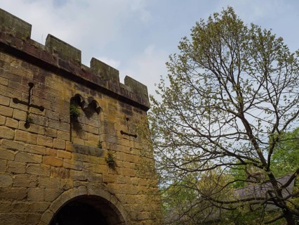 An old castle wall with towers and a tree in the foreground, Newcastle, England, Great Britain