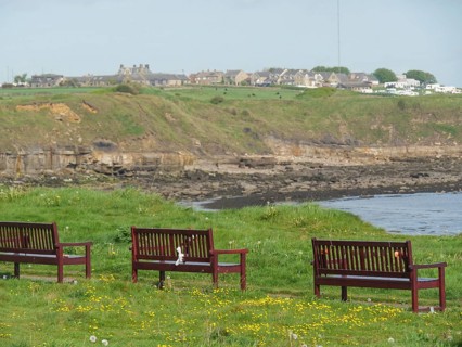 Park benches with views of the coast, green hills and distant houses, Newcastle, England, United