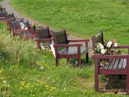 Park benches along a path on a green meadow, decorated with flowers, Newcastle, England, Great
