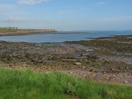 Coastal landscape at low tide with visible stones and green meadows, Newcastle, England, Great