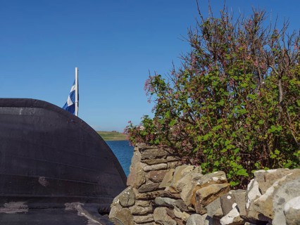 A bush with flowers next to an old stone wall and a Scottish flag in the background, Lerwick,