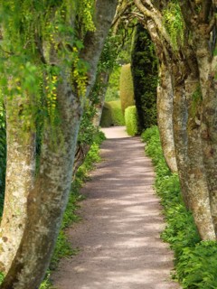 A narrow path leads through a natural avenue of trees and green leaves, inverness, Scotland, United