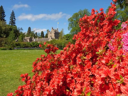 Blooming garden with red flowers, in the background the stone castle on a green meadow under a blue