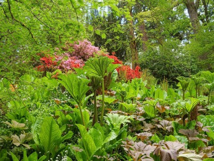 Colourful garden with numerous plants and trees in full bloom, inverness, Scotland, Great Britain