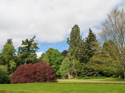 Green park landscape with different trees and cloudy sky, inverness, Scotland, Great Britain