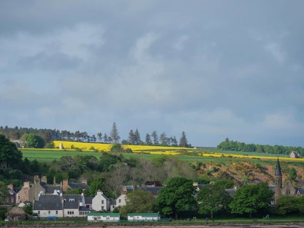 A small village with houses surrounded by green fields and yellow flowers, in the background a