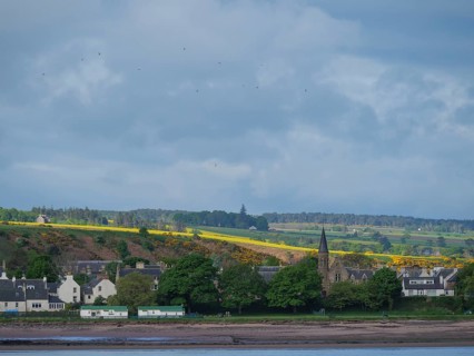 A quiet village by the sea with houses and trees, a church and a cloudy sky in the distance,