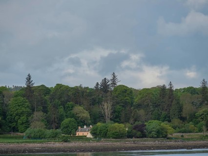 A small house on the edge of a forest, surrounded by tall trees and overlooking a riverbank under a