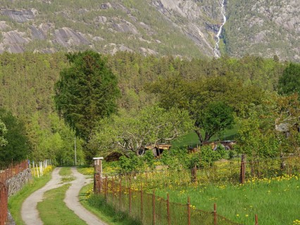 Landscape with a path through a green meadow and trees in front of high, forested mountains,