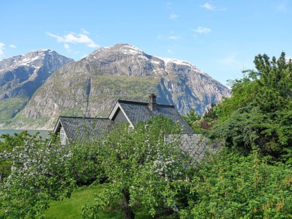 Houses in a quiet neighbourhood, surrounded by green trees, with impressive mountains in the