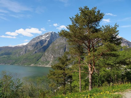 Majestic mountains, a lake and a single tree under a clear blue sky in a peaceful landscape,