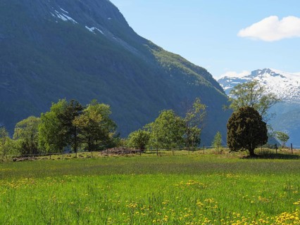 Green meadow and trees in front of high mountains under a blue sky, Eidfjord NOR 2