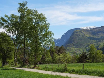 A picturesque path leads through a green meadow, flanked by tall trees and mountains in the