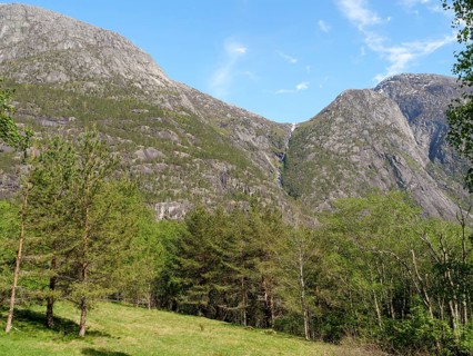 A mountainous landscape with dense forests and clear blue sky in the background, Eidfjörd, Norway,