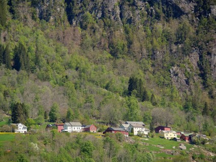 Village with houses on green hills surrounded by rocks and trees in calm weather, Eidfjörd, Norway,