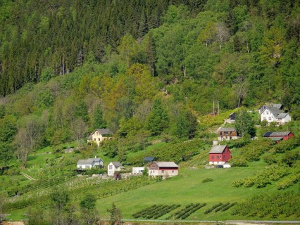 Idyllic village with various houses surrounded by green trees and hills, eidfjord, norway