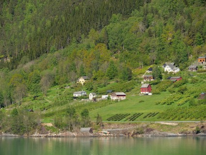 Small groups of houses on green hills on the fjord shore in sunny weather in a rural scenery,