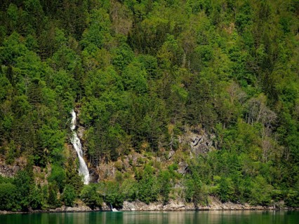 Small waterfall in a dense, green forest area with rocky elements, eidfjord, norway