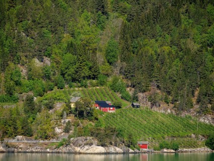 Eidfjord, Norway, Europe