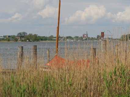 View through reed grass to a lake with boat, poles and cloudy sky, Arnis, Schleswig-Holstein,