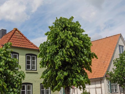 Houses with red tiled roofs and green trees under a cloudy sky, Kappeln, Schleswig-Holstein,