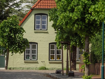 Green house with red tiled roof and trees on a cobbled street in summer, Arnis, Schleswig-Holstein,