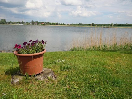 A flower pot in a meadow on the shore of a lake under a cloudy sky, Arnis, Schleswig-Holstein,