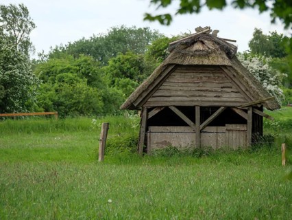 An old hut stands in the middle of a wide green meadow, surrounded by nature and trees, Maasholm,