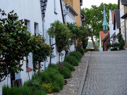 A narrow cobbled street lined with plants and historic white-painted buildings with trees in the