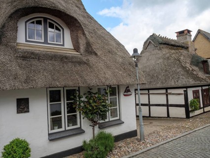 A thatched roof house on a cobbled street with windows and a street lamp under a cloudy sky,