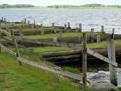 Wooden fences and green areas in a quiet harbour area with water in the background, Maasholm,