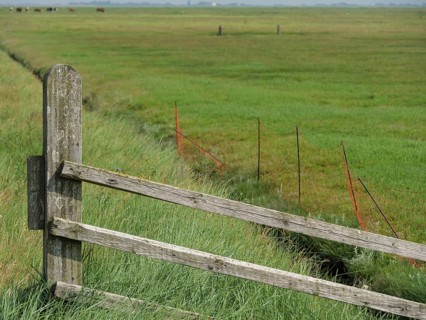 A rustic wooden fence overlooks a wide, green field on a clear summer's day, the atmosphere is calm