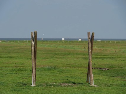 Wooden posts standing on a wide meadow with a view of the sea on the horizon, Hallig Hooge,