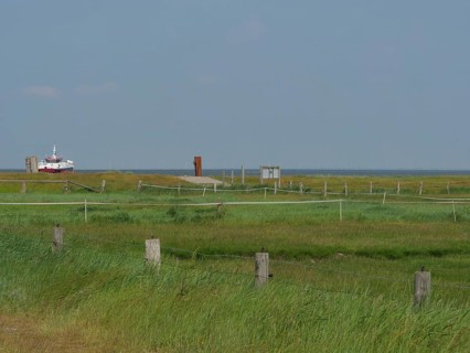 Green scenic meadow with a ship in the background and clear sky, Hallig Hooge, schleswig-holstein,