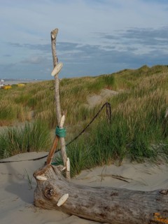 A beach with a piece of driftwood and shells attached to it, surrounded by dunes and grasses, under